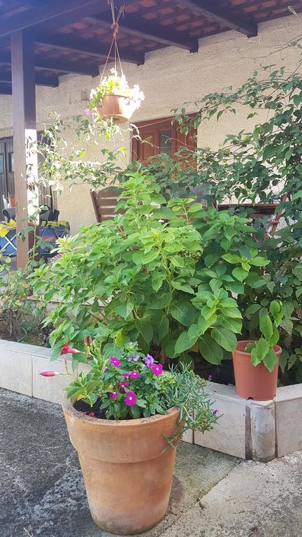 Apartment Ecio 반졸레 외부 사진